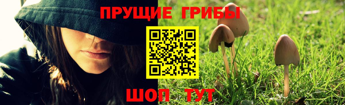 Псилоцибиновые грибы Psilocybe  Вход с VPN  Грозный 