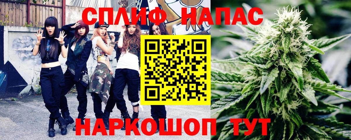 Псилоцибиновые грибы Грозный